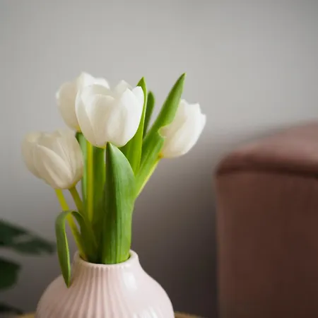 Lejlighedshotel Stupartska Grand Prag